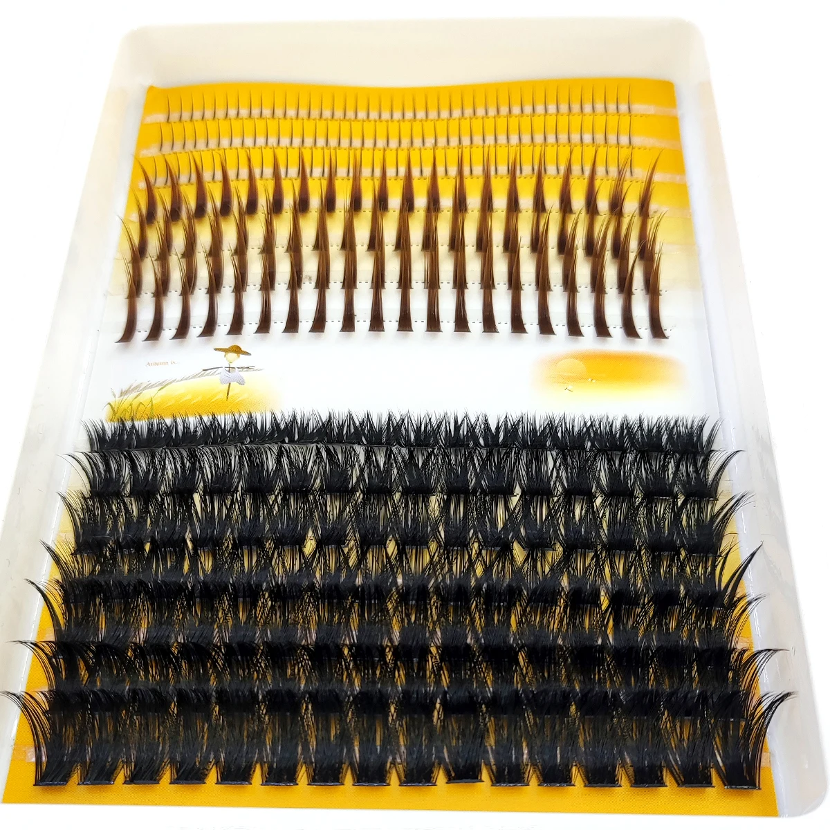 Eyelash Extension Doll Eye - AMSDCN 60D-120D 속눈썹 클러스터 3D 뾰족한
