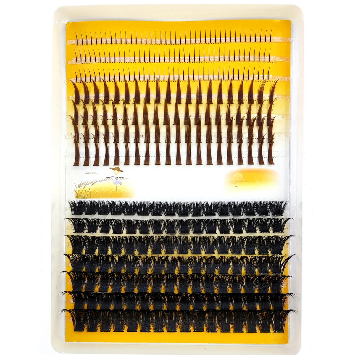 AMSDCN 60D-120D 속눈썹 클러스터 3D 뾰족 - Eyelash Extension Doll Eye 리뷰 및 가격